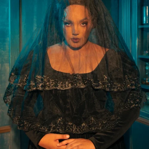 Black Veil With Embroidered Lace Trim