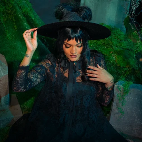 BEETLEJUICE™ Darkroom Dress -Elegant Ladies Wear Darkroom Dress 3