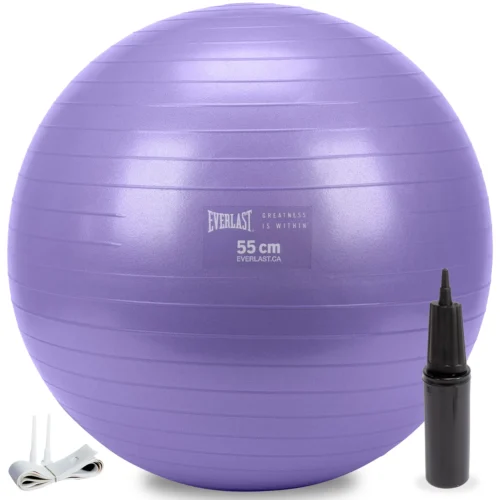 Everlast 55cm Anti-Burst Stability Ball W/3LB Sand Weight
