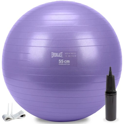 Everlast 55cm Anti-Burst Stability Ball W/3LB Sand Weight