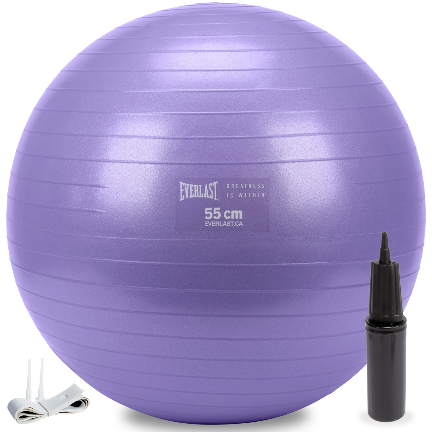 Everlast 55cm Anti-Burst Stability Ball W/3LB Sand Weight 3 Everlast 55cm Anti-Burst Stability Ball W/3LB Sand Weight