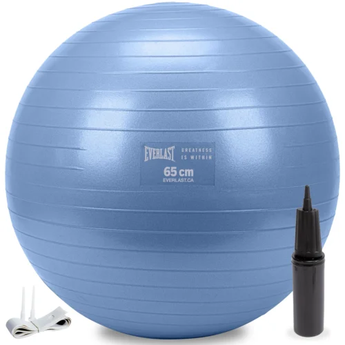 Everlast 65cm Anti-Burst Stability Ball W/3LB Sand Weight