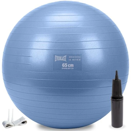Everlast 65cm Anti-Burst Stability Ball W/3LB Sand Weight