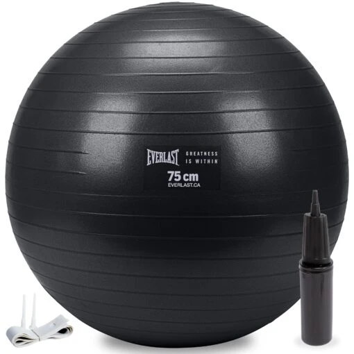 Everlast 75cm Anti-Burst Stability Ball W/ 3LB Sand Weight