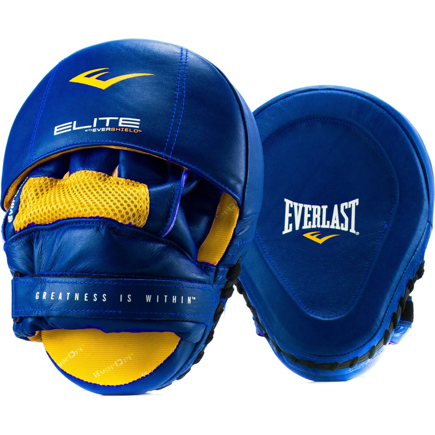 Everlast Elite Mantis Target Mitts 4 Everlast Elite Mantis Target Mitts - Image 2
