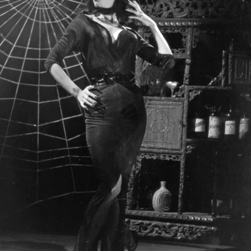 Glamour Ghoul Gown - Vampira® By La Femme En Noir -Elegant Ladies Wear GlamourGhoul