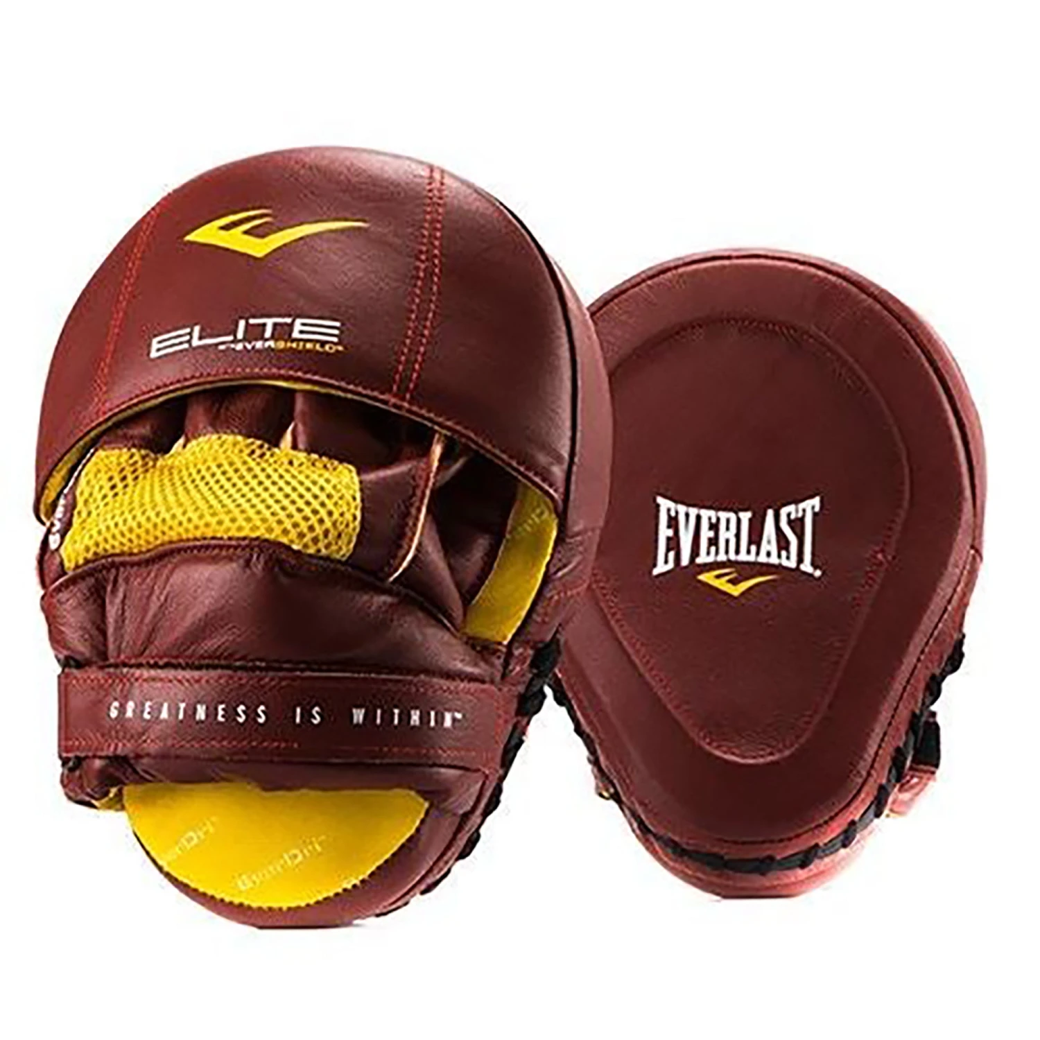 Everlast Elite Mantis Target Mitts 5 Everlast Elite Mantis Target Mitts - Image 3