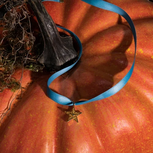 FINAL SALE - Sleepy Hollow™ Katrina Star Pendant Necklace (multiple Colors) -Elegant Ladies Wear Sleepy Hollow Star Blue 3