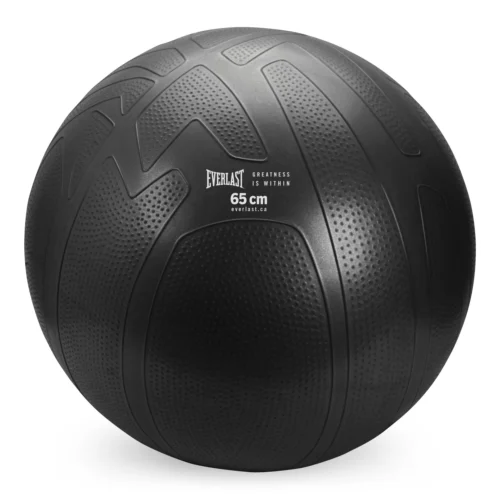 Everlast 65Cm Pro Grip Anti-Burst Fitness Ball