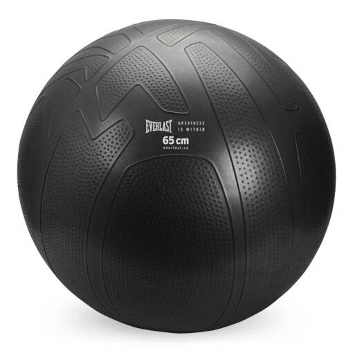 Everlast 65Cm Pro Grip Anti-Burst Fitness Ball