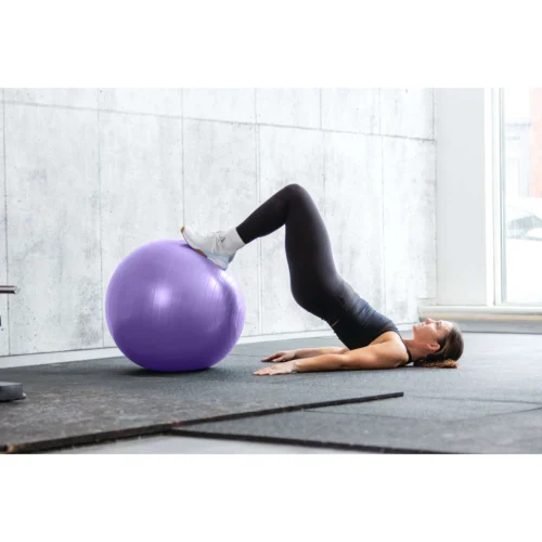 Everlast 55cm Anti-Burst Stability Ball W/3LB Sand Weight 12 Everlast 55cm Anti-Burst Stability Ball W/3LB Sand Weight -Elegant Ladies Wear everlast 55cm anti burst stability ball w 3lb sand weight purple ET4117LA 05