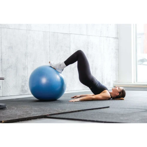Everlast 65cm Anti-Burst Stability Ball W/3LB Sand Weight -Elegant Ladies Wear everlast 65cm anti burst stability ball w 3lb sand weight blue ET4118BL 06