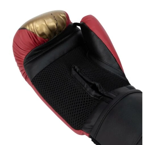 Everlast Prospect 2 Youth Boxing Gloves 32 Everlast Prospect 2 Youth Boxing Gloves -Elegant Ladies Wear everlast prospect ii youth gloves red gold P00002974 10