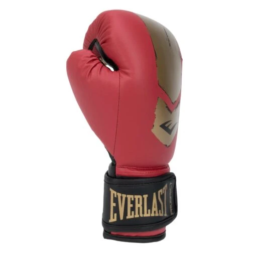 Everlast Prospect 2 Youth Boxing Gloves 34 Everlast Prospect 2 Youth Boxing Gloves -Elegant Ladies Wear everlast prospect ii youth gloves red gold P00002974 12