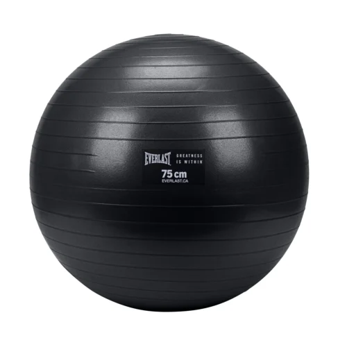 Everlast 75cm Anti-Burst Stability Ball W/ 3LB Sand Weight 14 Everlast 75cm Anti-Burst Stability Ball W/ 3LB Sand Weight -Elegant Ladies Wear lfpwxen2fcaspsybnaow