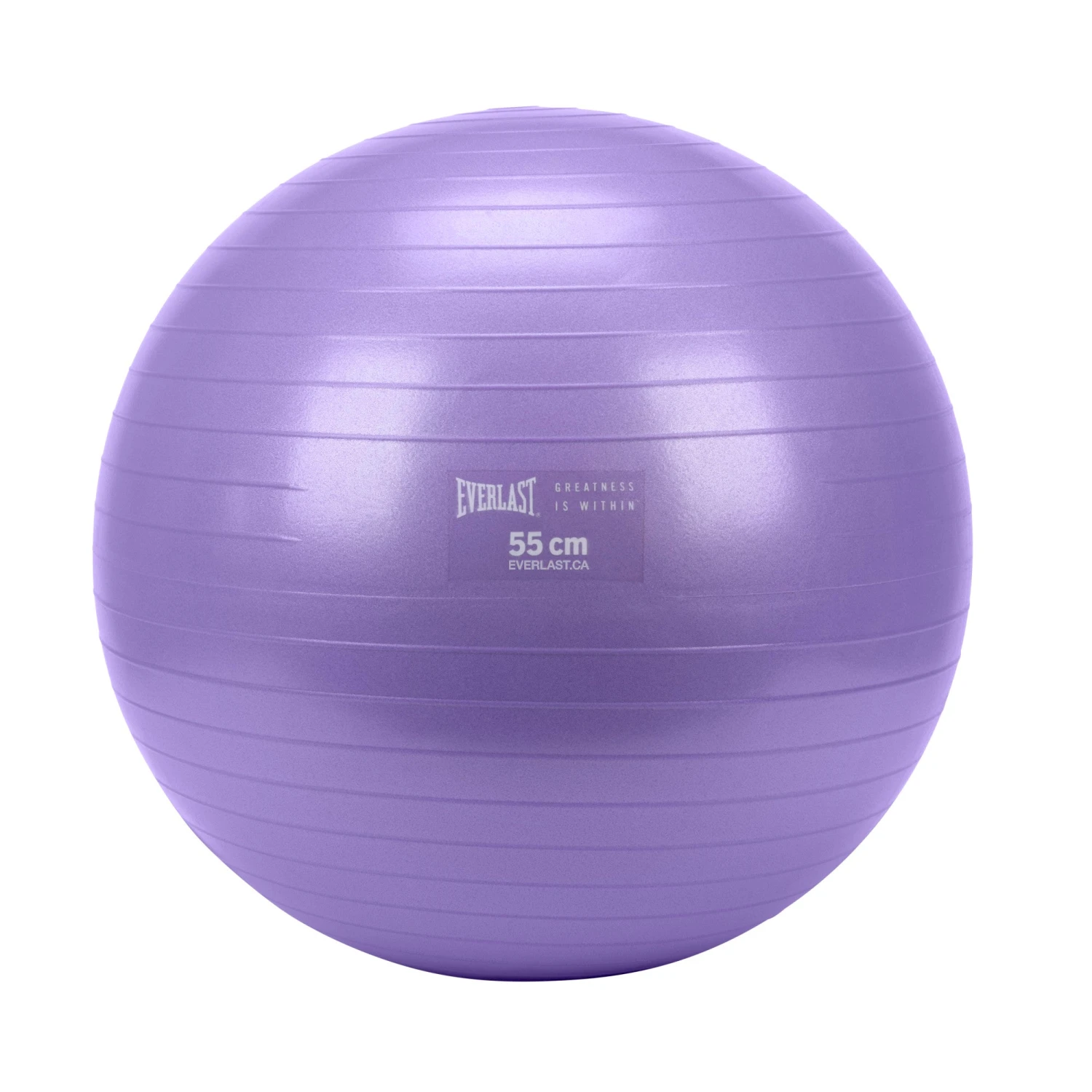 Everlast 55cm Anti-Burst Stability Ball W/3LB Sand Weight 9 Everlast 55cm Anti-Burst Stability Ball W/3LB Sand Weight - Image 7