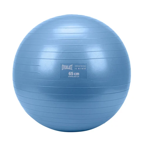 Everlast 65cm Anti-Burst Stability Ball W/3LB Sand Weight -Elegant Ladies Wear vztizqt11eubvwnl2eyr